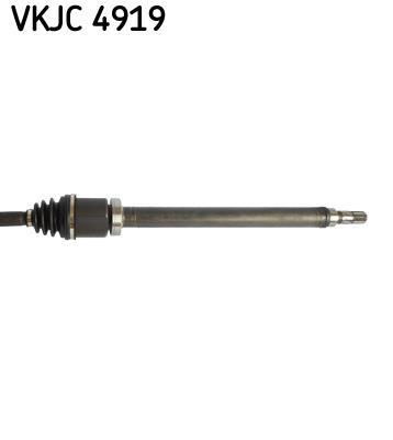 Cardan SKF ref. VKJC 4919